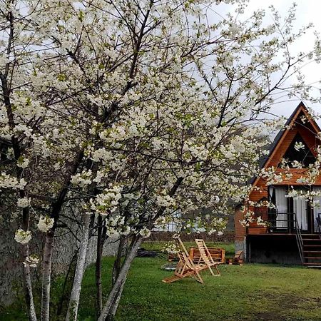 Thomas' Hut Apartment Kazbegi Exterior photo