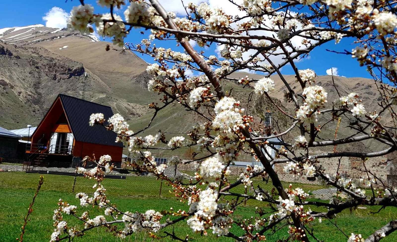 Thomas' Hut Apartment Kazbegi Exterior photo