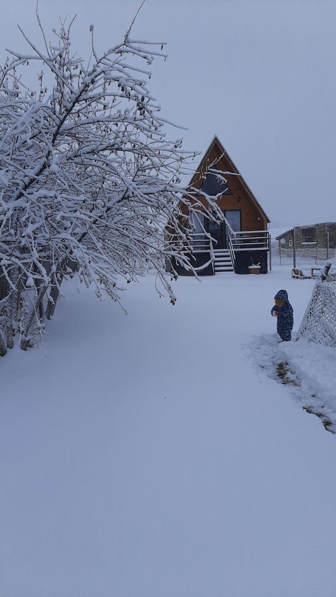 Thomas' Hut Apartment Kazbegi Exterior photo