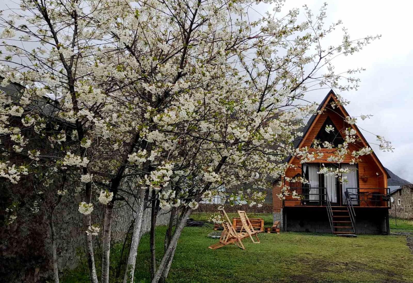 Thomas' Hut Apartment Kazbegi Exterior photo